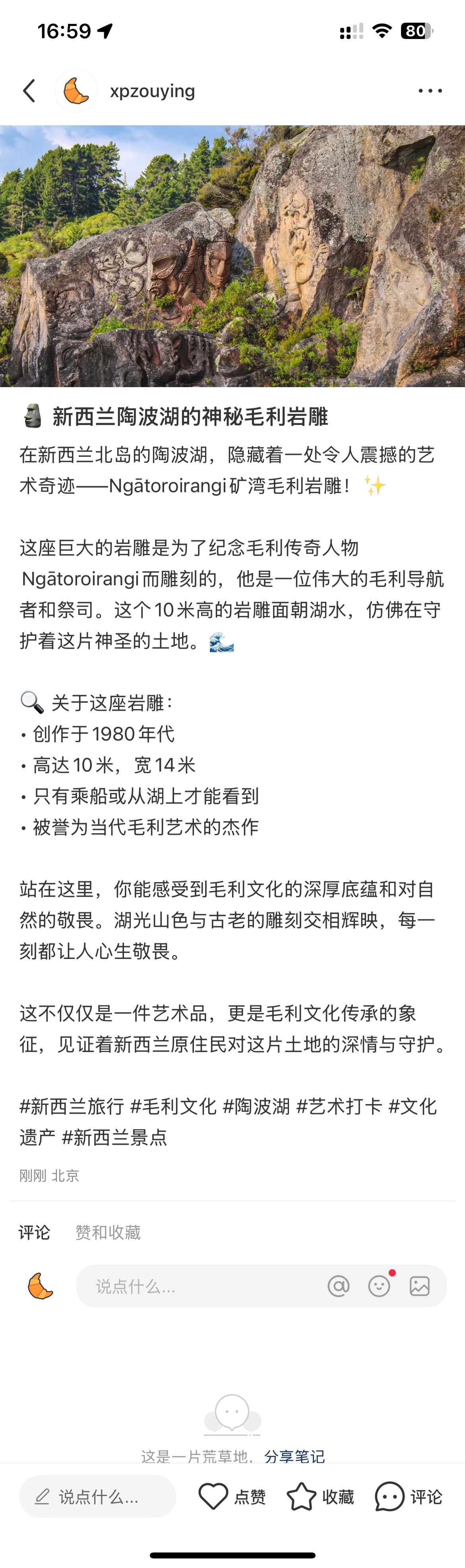 xiaohongshu-mcp publishing result