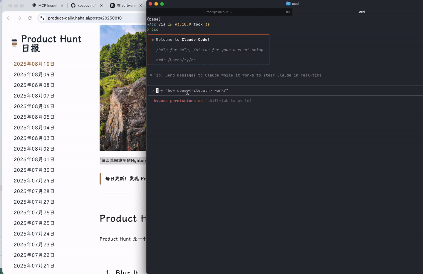 claude-cli publishing